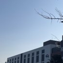 물류 1동 2층 A구역 | 김포 마켓컬리 신규 알바 후기 _ 냉동 주간10시 피킹 후기 + 초보를 위한 꿀팁