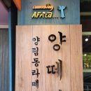 어메이징 아프리카 이미지