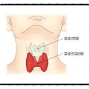 머슬팩토리24 보건대점 이미지
