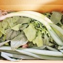 비금농장 | 산지직송 신안1004몰 비금섬초, 해풍맞은 시금치 맛나다맛나!