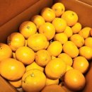 유현농장 이미지