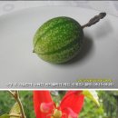 비티 이미지