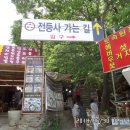 서동도산우회 제58차 산행 2014년 5월 강화 고려산 이미지