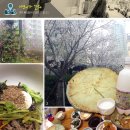 만드레 이미지