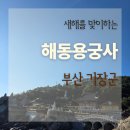 (주)해동 | 새해 초에 다녀온 해동용궁사 후기 부산 바다 절 소원 명소