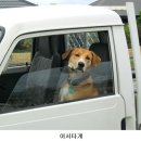 웃으면복이와요 이미지