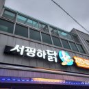서핑하닭 네이버블로그