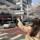 CU 역삼벚꽃길점 네이버블로그