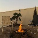 사시산색 이미지