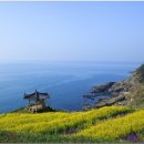 가천민박