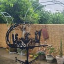 청담신의의원 이미지