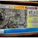 진주코사마트