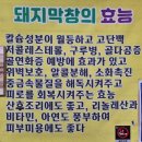 정고집&#34; 대구 사장님의 쫄깃탱탱하고 맛있는 막창구이를 합리적인 가격에 즐기세요 내돈내산 후기 리뷰
