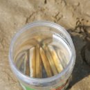 풀하우스펜션 이미지