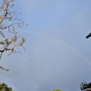 위미사랑하우스 이미지