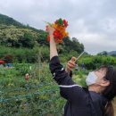 연제구-064 네이버블로그