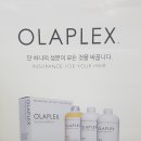 오,미장원 네이버블로그