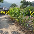 산서농장 이미지