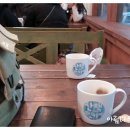 카페산책 이미지