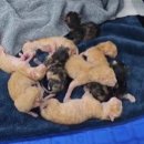 영광동물병원 이미지