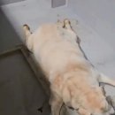 울진동물병원 이미지