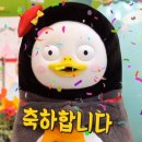 에스테틱고운