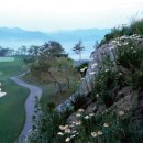 더플레이어스골프클럽 이미지