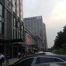 서래갈매기 - 안양시 동안구 관평로305번길 59 | 서래갈매기