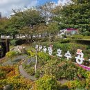 서산 허앤장 한옥호텔 서산호수공원점 | 충남 서산 여행에서 가성비 챙기고 싶다면 이쪽 숙소 보세요