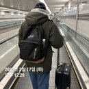 논현사랑약국 | 2월 일상 : 겨울의 막바지 입터짐 주의🍚🥄