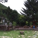 약선오리 이미지