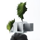 자연-탄생 이미지