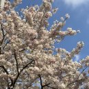 서호동-23 이미지