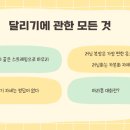 장원전자 | 달리기를 통해 다시 확인한 약속 하나 (산티아고 장원, 강의 후기)