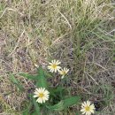 인공 + 자연 이미지