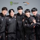 팀코리아몬스터 이미지