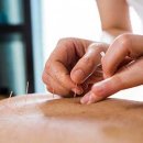 봄꽃한의원 이미지