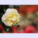 곡성-081 이미지