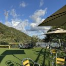 몽실이네 | 경기광주 저수지뷰 애견카페 몽실이네 내돈내산 후기