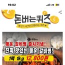 캐시워크 퀴즈 이미지