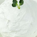 설유가