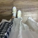 플라이어스