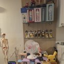 5993 | 강남역마사지 [[티모테라피]], 뭉친 곳만 정확하게 풀어주는 강남경락 후기