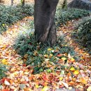 금생농장 이미지