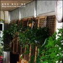 제주복어 이미지