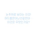 윤결의원 네이버블로그