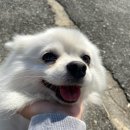 삼봉주유소 이미지