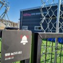 카인드독 이미지