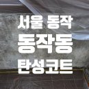 대방천 | 서울 동작구 동작동 베란다 곰팡이 제거 탄성코트 시공 후기