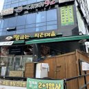 WITHSTUDIO | 원주 셀프 사진관 애견동반 후기 (+행복가득) [같이사진관]